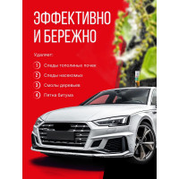 Очиститель следов насекомых и битумных пятен KERRY KR-930