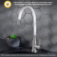 Смеситель для кухни РМС SUS124W-016F