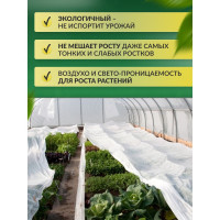 Укрывной материал спанбонд суф (3.2x10 м; 30 г/кв.м; белый) Доминар C23926