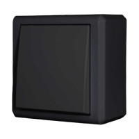 Выключатель Мега Черный одноклавишный Metronex Electric FVK030102CMT