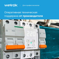 Реле напряжения Welrok d2-63 red 4660251140014