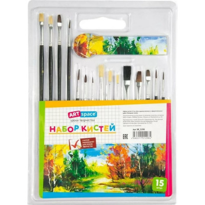 ArtSpace Набор кистей, 15., пони, щетина, плоские, круглые, блистер SB_3298