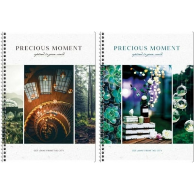 Тетрадь ArtSpace Стиль. Precious moments Т80А4спк_26797