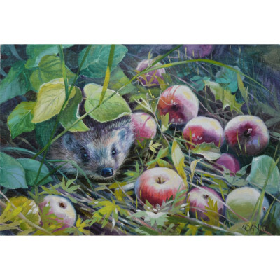 Остров сокровищ Картина стразами (алмазная мозаика) 30x40 см, Ёжик, без подрамника, 662564