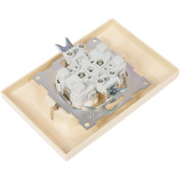 Двойная розетка с защитной шторкой, слоновая кость 2П+З 16А 250В TDM ELECTRIC Лама SQ1815-0113