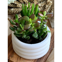 Кашпо для цветов VILLERMO БУБЛИК 2.0 G_042