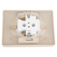 2-местная розетка Systeme Electric скрытой проводки Blanca 16А IP44 250В с заземлением бежевая BLNRS441127
