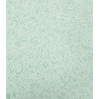 Декоративная штукатурка Paritet Базовое покрытие №4 (мятный; 1 кг) PDLW-B42