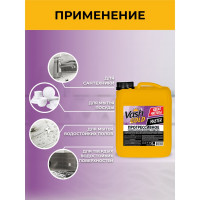Прогрессивное универсальное средство VASH GOLD Master 5 л 307031