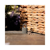 Навесной замок ЧЕТЫРЕ СЕЗОНА СЧ-25 Багажный 79-0002