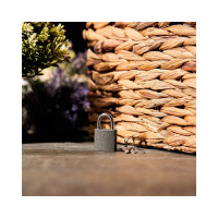 Навесной замок ЧЕТЫРЕ СЕЗОНА СЧ-25 Багажный 79-0002