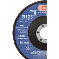 Круг лепестковый абразивный торцевой 125x22.2 мм, Р40 ДИОЛД 90242001