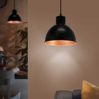 Подвесной светильник EGLO ПРОМО TRURO 1 49238