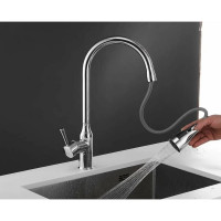 Смеситель для кухни Shevanik с выдвижной лейкой S163