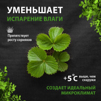 Материал черный укрывной СУФ60 (1.6x10 м) Без бренда 939155