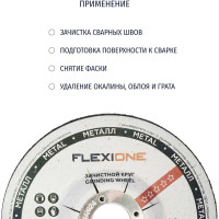 Круг зачистной по металлу и нержавейке (125х6х22.23 мм; A24 SBF27) Flexione 10001118