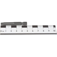 Бита Torx T30, 50 мм IZELTAS 4830210130