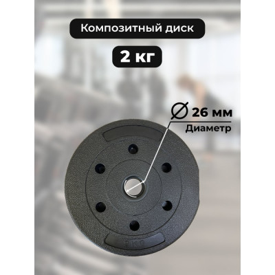 BARFITS Диск пластиковый 2кг D26 1181160633