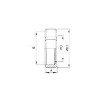 Молочная гайка TITAN LOCK 2,5in, по стандарту DIN 11851 DN65 нерж. 304 TL65NUTS