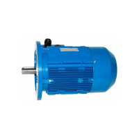 Электродвигатель 5АИ 100 L2 5.5/3000 IM 3081 01.01.213679