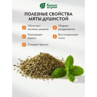 Травяной дыхательный сбор для бани и сауны Банные Штучки 20 фильтр-пакетиков по 2 г 33410