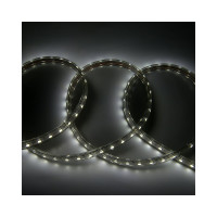 Лента светодиодная General Lighting Systems GLS-2835-60-6-220-IP67-6, 50 метров, 6Вт/м, 220В, SMD2835, 6мм, 60 диодов/м, 7 Лм/чип, IP67, 6500К - холодный белый 504115