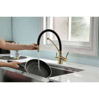 Смеситель для кухни Paulmark SIEGEN золото Si213111-G