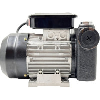 Насос для перекачки дизельного топлива Helios-80 Petroll 3006