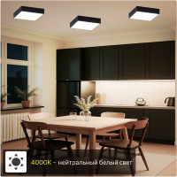 Потолочный светильник Citilux с диммером Тао LED Чёрный CL712X182N