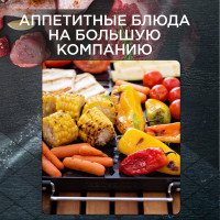 Противень-гриль 32х43см FORESTER BQ-N15