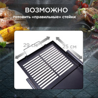 Противень-гриль 32х43см FORESTER BQ-N15