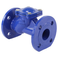 Клапан обратный шаровой DN.ru GGG50-GGG50-БНК-сп Ду40 Ру16 со сливной пробкой, чугунный D100-01575