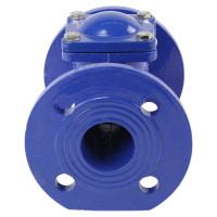 Клапан обратный шаровой DN.ru GGG50-GGG50-БНК-сп Ду40 Ру16 со сливной пробкой, чугунный D100-01575