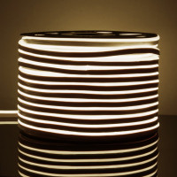 Гибкий неон Elektrostandard LS001 220V 9.6W 120Led 2835 IP67 4200K односторонний дневной белый 50м a052994
