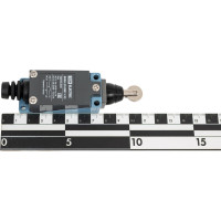 Концевой выключатель TDM ELECTRIC ВККН-2102М11-У2 роликовый толкатель 5А 1з+1р IP65 SQ0732-0029