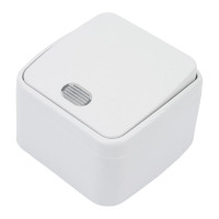 Выключатель белый 1-клавишный открытой установки с подсветкой TDM ELECTRIC IP20 10А, серия "Дача" Народная SQ1824-0005