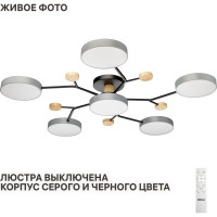 Светодиодная диммируемая люстра RITTER Scandia с ДУ 970х60мм 84Вт серая 52079 5