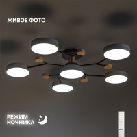 Светодиодная диммируемая люстра RITTER Scandia с ДУ 970х60мм 84Вт серая 52079 5