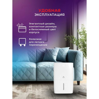 Осушитель воздуха Royal Clima CARISMA Villa RD-CR30-E