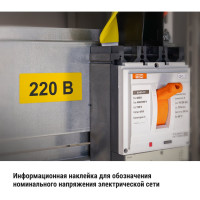 Символ 220В TDM ELECTRIC 35х100мм SQ0817-0010
