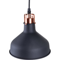 Подвесной светильник Camelion PL-425S C62 черный+медь, Amsterdam, E27, 60Вт, 230В, металл 13023