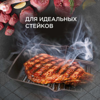 Чугунная сковорода-гриль FORESTER CI-04