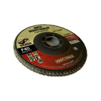 Круг лепестковый плоский (10 шт; 125х22 мм; Р40) SKRAB 35841