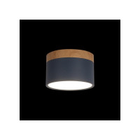Накладной светильник LOFT IT Grape 10162 Blue