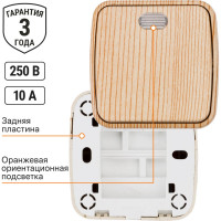 Выключатель TDM ELECTRIC 1-кл. открытой установки с подсветкой IP20 10А, сосна "Дача" Народная SQ1824-0055