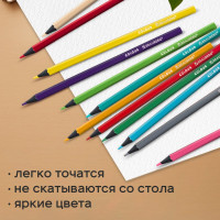 Цветные карандаши 12 цветов BRAUBERG, черное дерево, грифель мягкий 3,3 мм 4 шт 181856