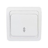 Проходной переключатель TDM ELECTRIC Валдай белый одноклавишный 10А SQ1804-0003