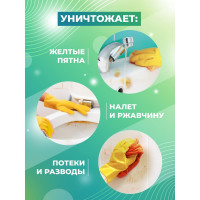 Концентрат для удаления известкового налета и ржавчины МАСТЕРХИМ САН АКТИВ 1 кг 011КП1