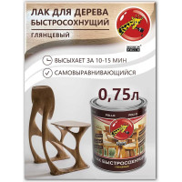 Быстросохнущий лак Poli-R (глянцевый; 0.75 л) 13907