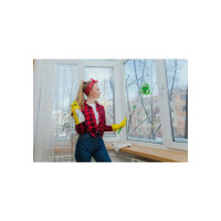 Окномойка Доляна фигурная, с телескопической стальной ручкой, цвет микс, 13х13х55 см 3092740